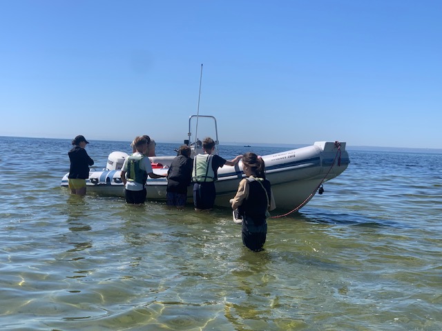 Windsurfing Jastarnia