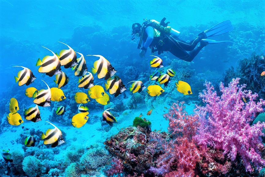 Nurkowanie Hurghada